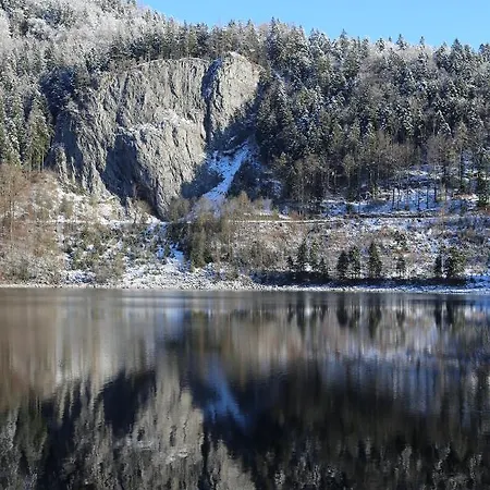 Moosaik * Strobl